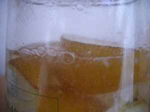 梨酵母3−2