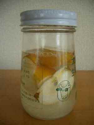 梨酵母3