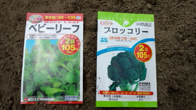 ベビーリーフ&ブロッコリー