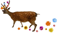 GBmcBxv-39818591.gif
