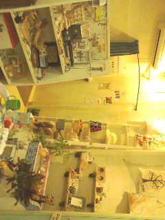 081108_1801~01.jpg