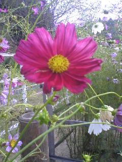 091003_1417~01.jpg