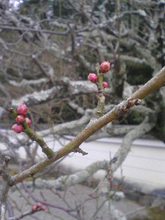 110119_1558~01.jpg