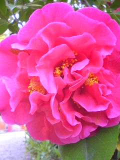 110424_1536~02.jpg
