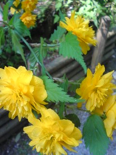 110424_1514~02.jpg
