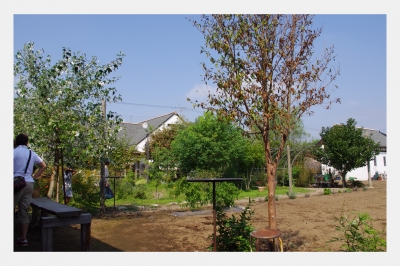 2010.09 049.jpg
