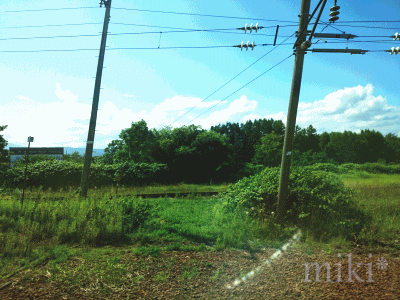2.gif