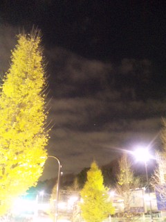 091214_1843061.jpg