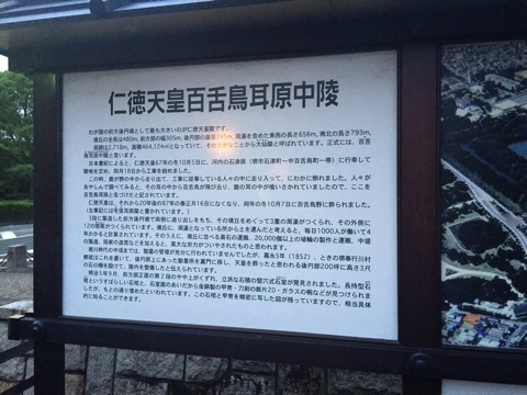 iPhoneImage.png