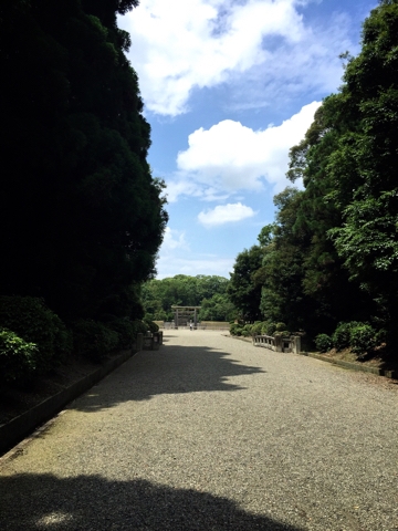iPhoneImage.png