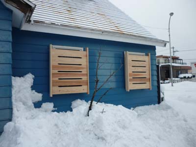 雪囲い