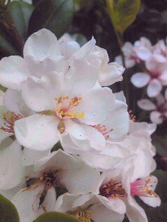 120512_075928.jpg
