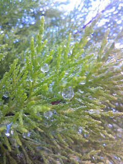 120516_081743.jpg