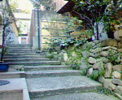 20070318_324089.jpg
