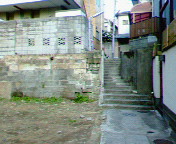 20070318_324241.jpg
