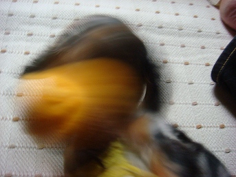 0425