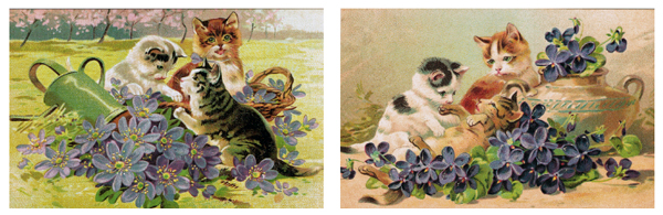 ドイツから届いた、ネコの絵柄のポストカードたち。 | DAISY LIFE
