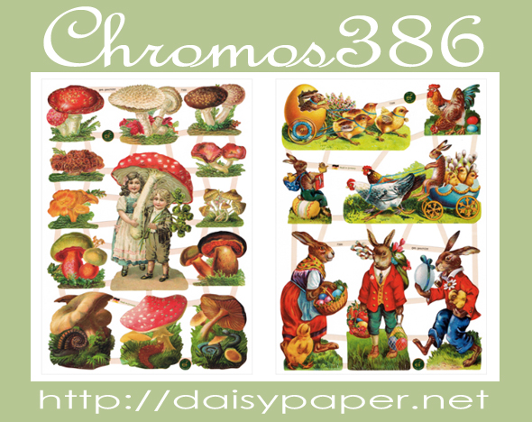 ⥹ 386DAISYCHROMOSɥ ⥹ꥹ ⥹٥˥ƥ󥰥ΤΥҥ襳åӥåȡåץԥ㡼ĥӥåȡåץȡåץ꡼�