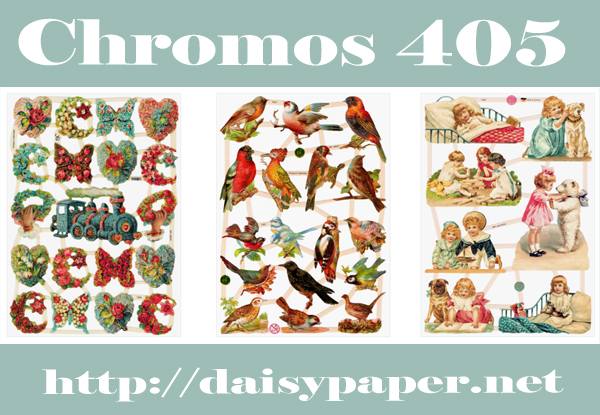 ドイツ製 クロモス【DAISY】CHROMOS、chromos、グランツビルダー、ドイツ、Germany、汽車、蝶、野鳥、キツツキ、小鳥、バラ、白くま、テディベア、スクラップピクチャー、デコパージュ