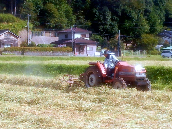 但馬牛のえさ