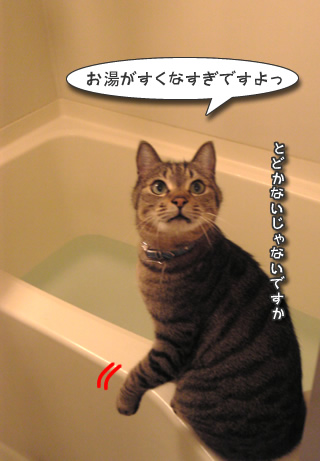 水たりない!