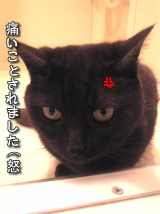 怒