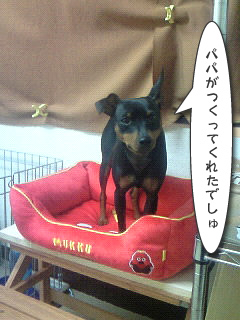 パトロール
