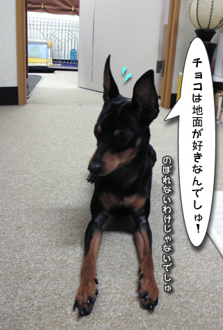 上れないわけじゃないです