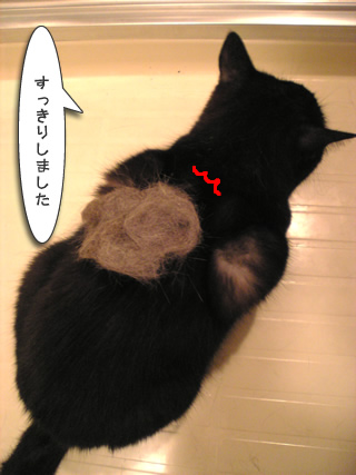 すっきり
