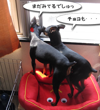 まだー