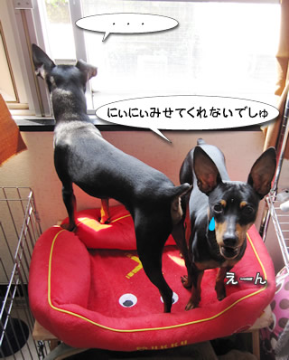 えーん