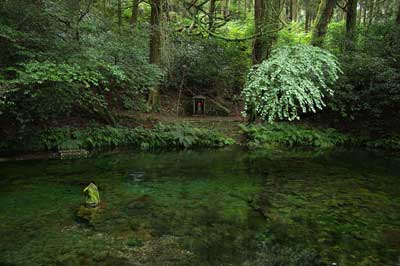 池山水源1