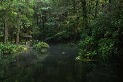 池山水源2