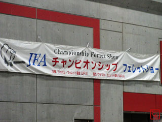 20101115_2.jpg