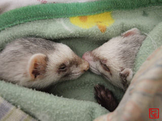 20110524_1.jpg