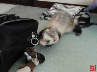 20110524_2.jpg