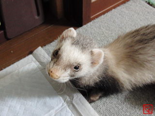 20110524_3.jpg