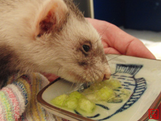 20110524_4.jpg