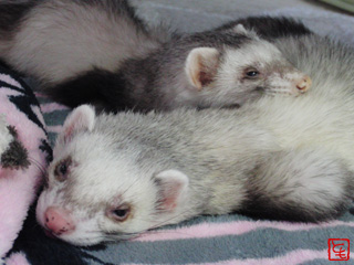 20110524_5.jpg