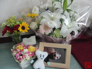 20110524_6.jpg