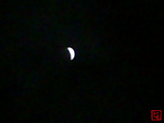 20111211_1.jpg
