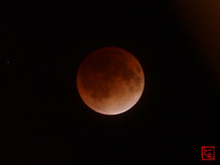 20111211_3.jpg
