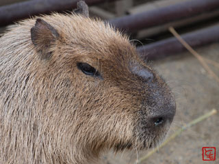 20131008_1.jpg
