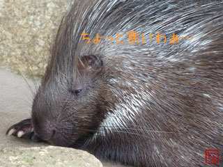 20131008_2.jpg