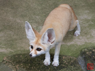 20131008_3.jpg