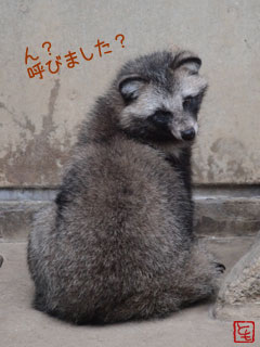 20131008_5.jpg