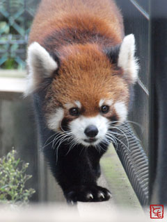 20131008_6.jpg