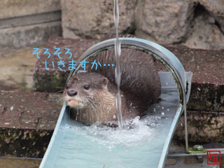 20131008_7.jpg