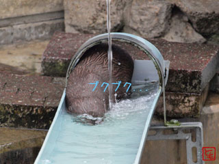 20131008_8.jpg
