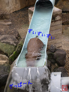 20131008_9.jpg